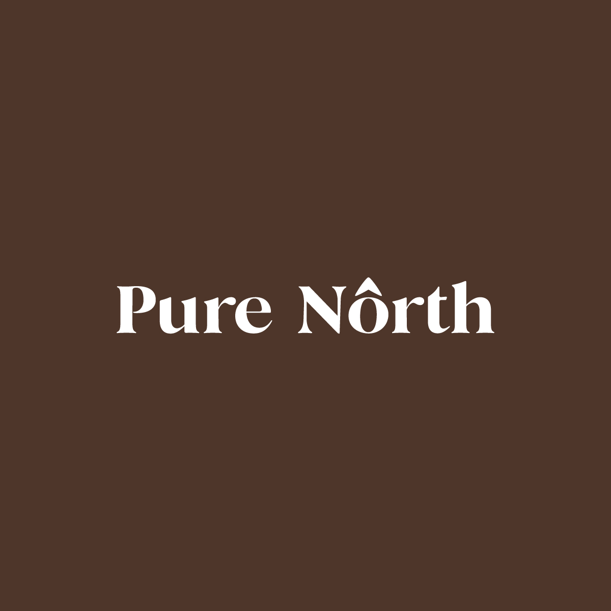 Pure North Logo V2